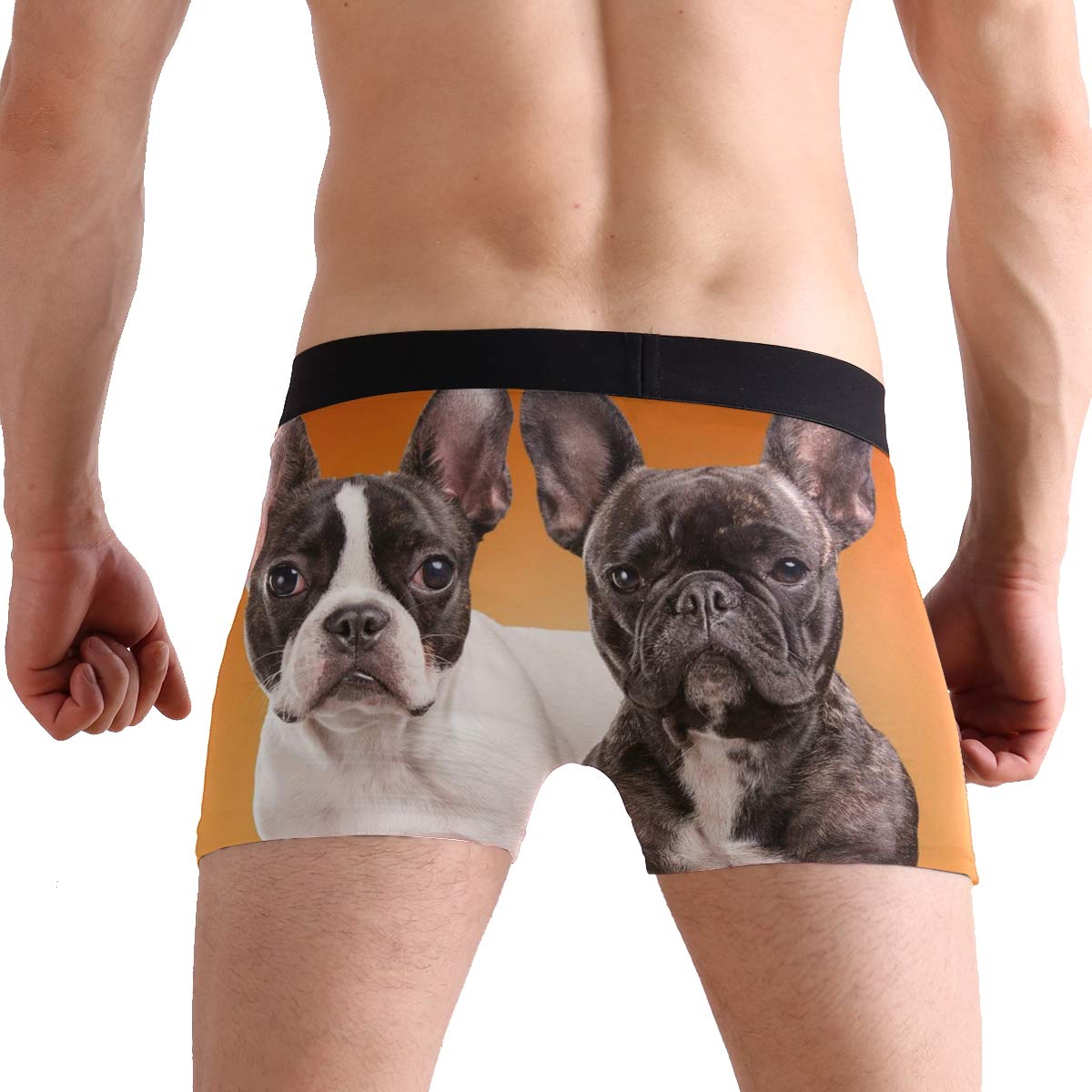 Funny French Bulldog Boxer Briefs for Men - Soft Cotton Underwear with Comfortable Waistband - Perfect for Casual Wear, Gym, and Everyday Use