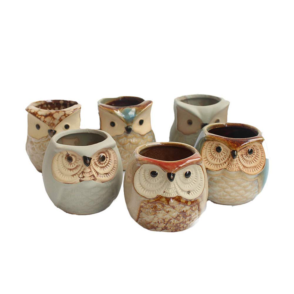 Takefuns 6-Piece Ceramic Owl Succulent Planter Set - Cute Flower Pots for Plants, Bonsai & Home Decor - Perfect for Desktop, Office, or Garden Decorations