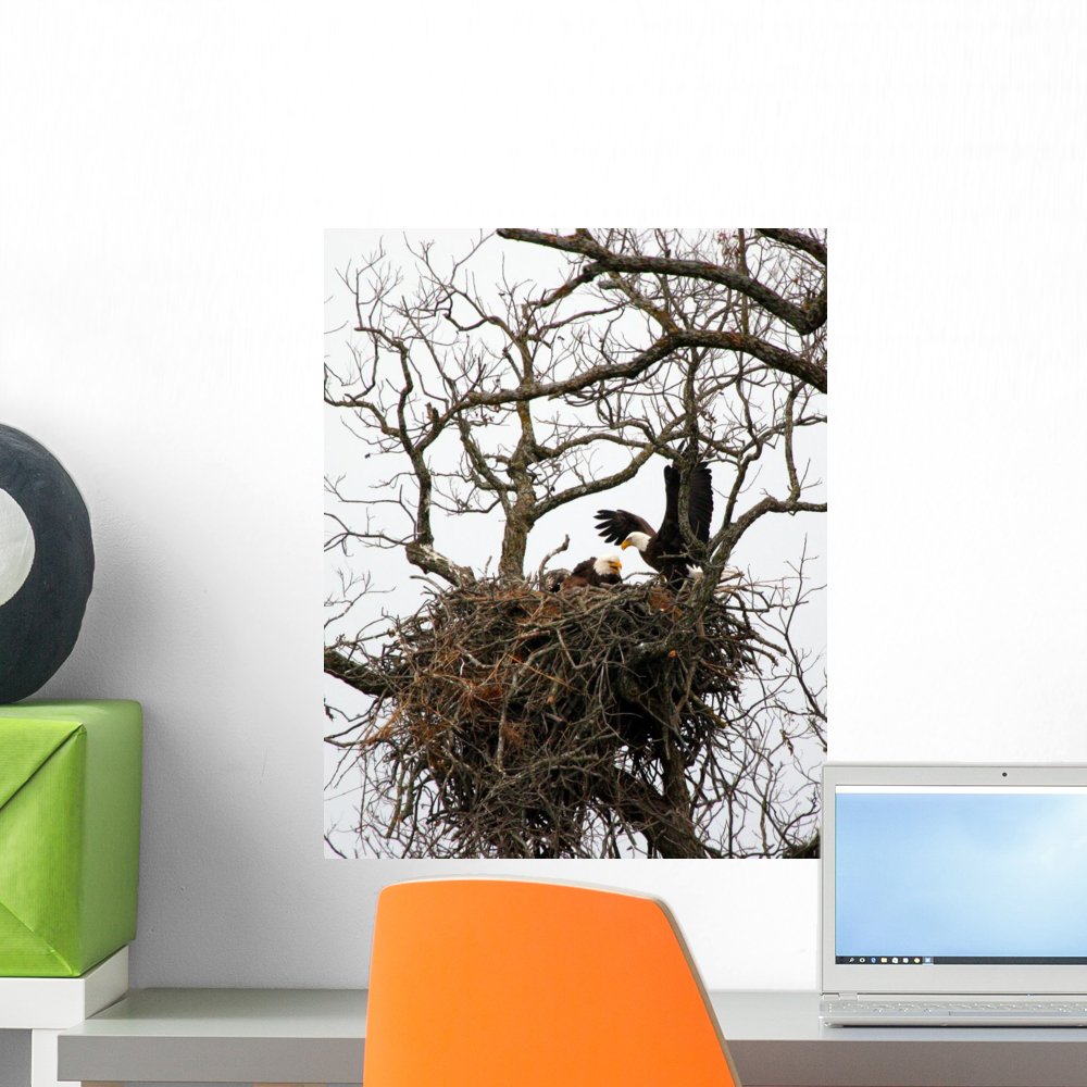 Wallmonkeys Peel and Stick Wall Decal - Eagle in Nest Design, 18 x 14 Inches - Removable Home Decor for Living Room, Nursery, or Office