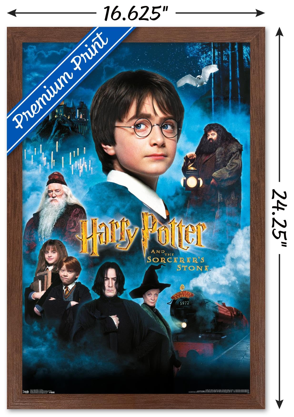 Harry Potter and the Sorcerer's Stone Framed Movie Poster - 14.725