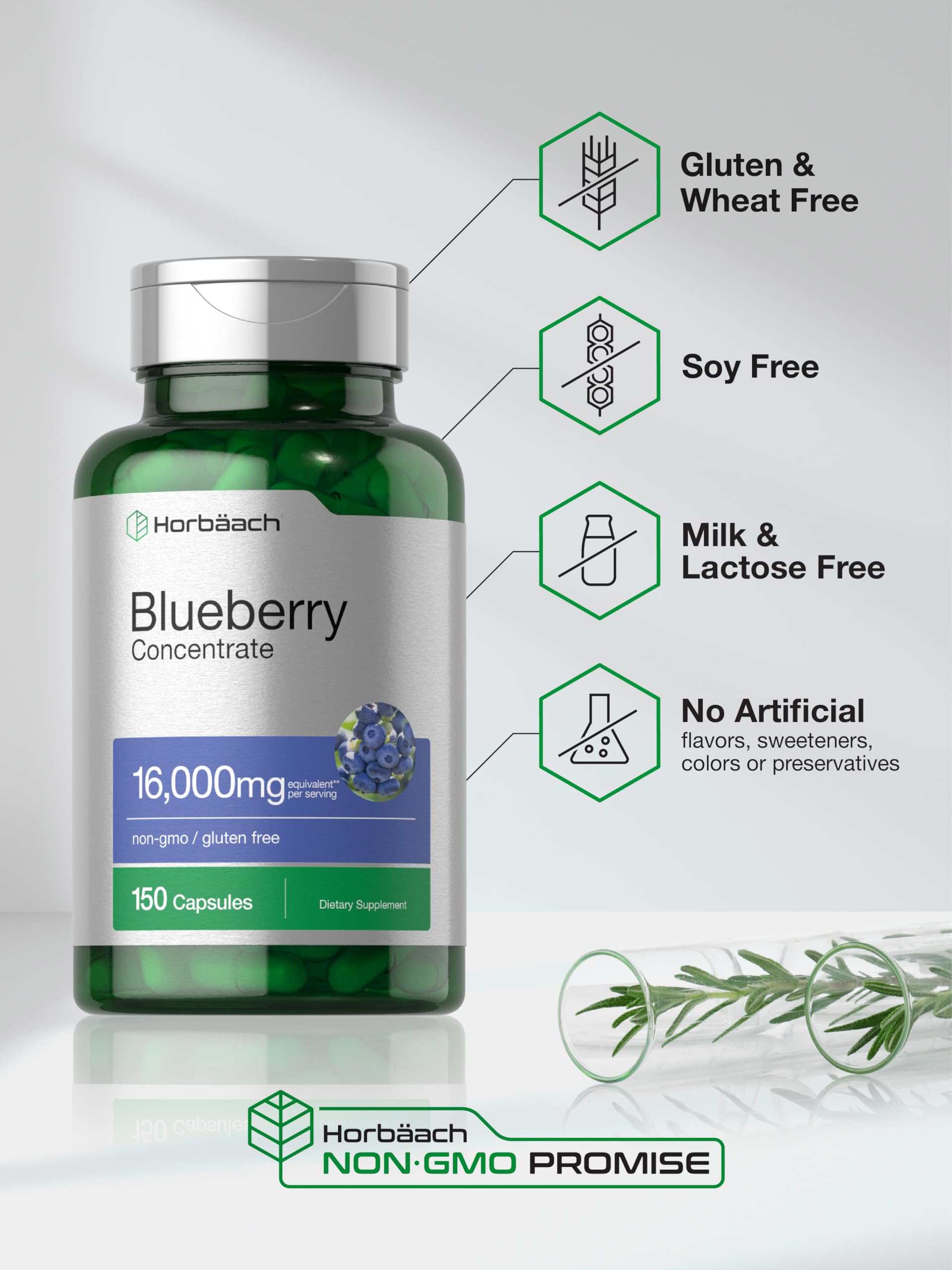 Horbäach Blueberry Extract Supplement 150 Capsules | High Potency Blueberry Concentrate | Non-GMO, Gluten Free, Vegan | Supports Eye Health & Antioxidant Benefits | Perfect for Daily Wellness Routine