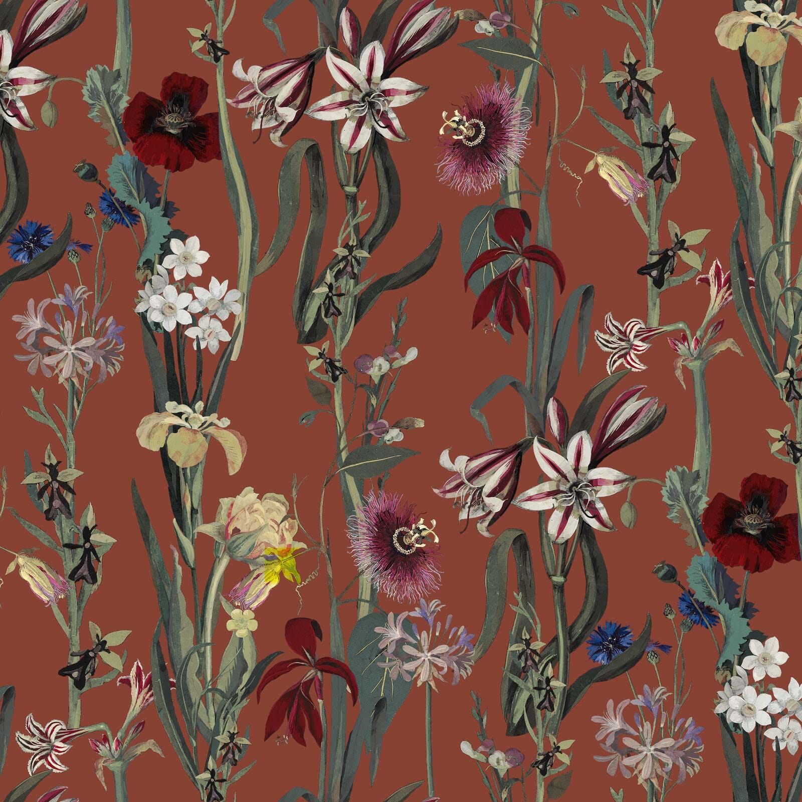 FLORA DELANICA Peel and Stick Wallpaper - Self-Adhesive Clay Texture Sample for Bedroom, Living Room & Home Decor