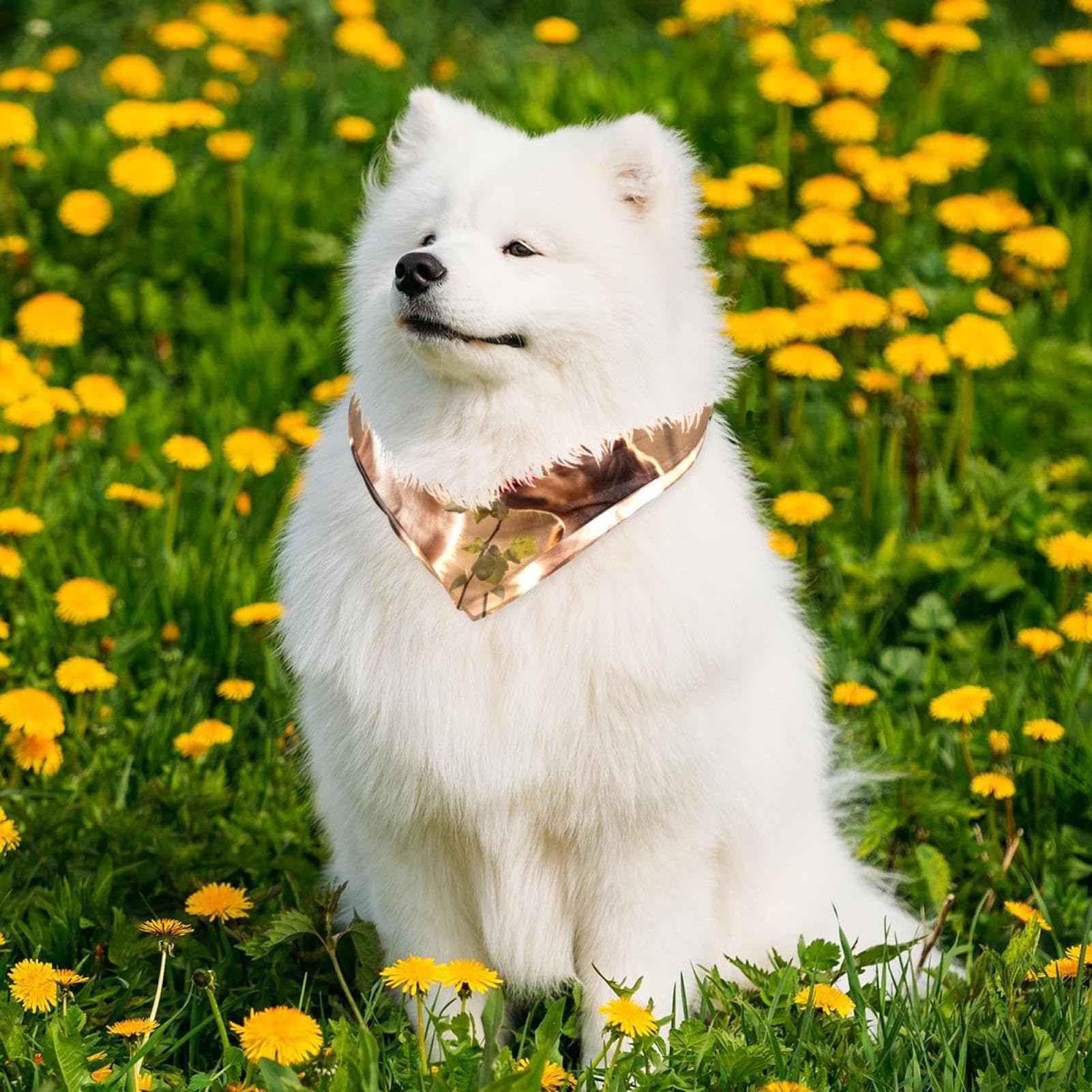 Floral Dog Bandanas - 2-Pc Pet Bandana Set for Dogs & Pet Lovers | Outdoor Adventures & Daily Walks