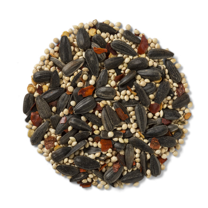 Brown's No Squirrels…Just Birds!™ Premium Sunflower Wild Bird Seed - 5 lb Bag - Attracts Cardinals, Finches & Songbirds - Perfect for Backyard Feeders & Bird Watching