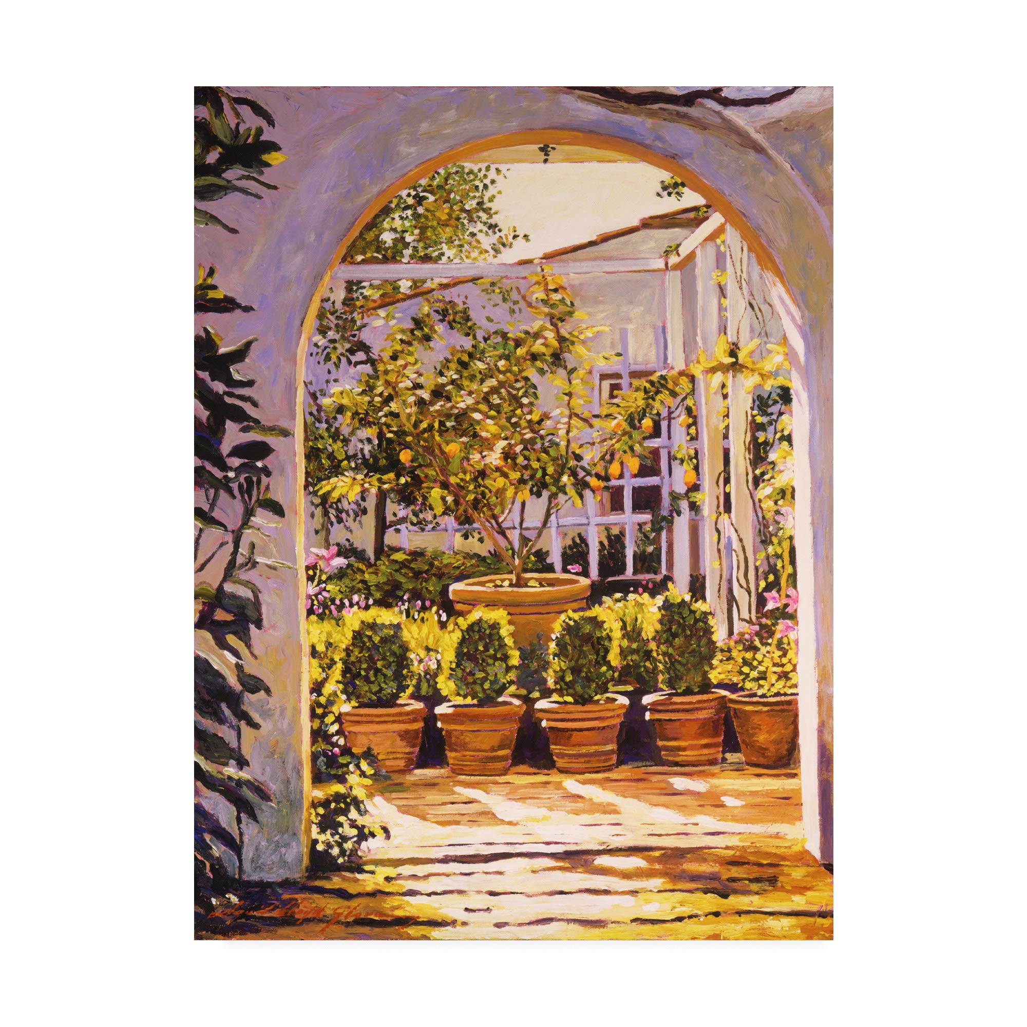 David Lloyd Glover Lemon Tree Courtyard Fine Art Print - 35x47 Inches - Vintage Landscape Wall Decor for Living Room, Bedroom & Office