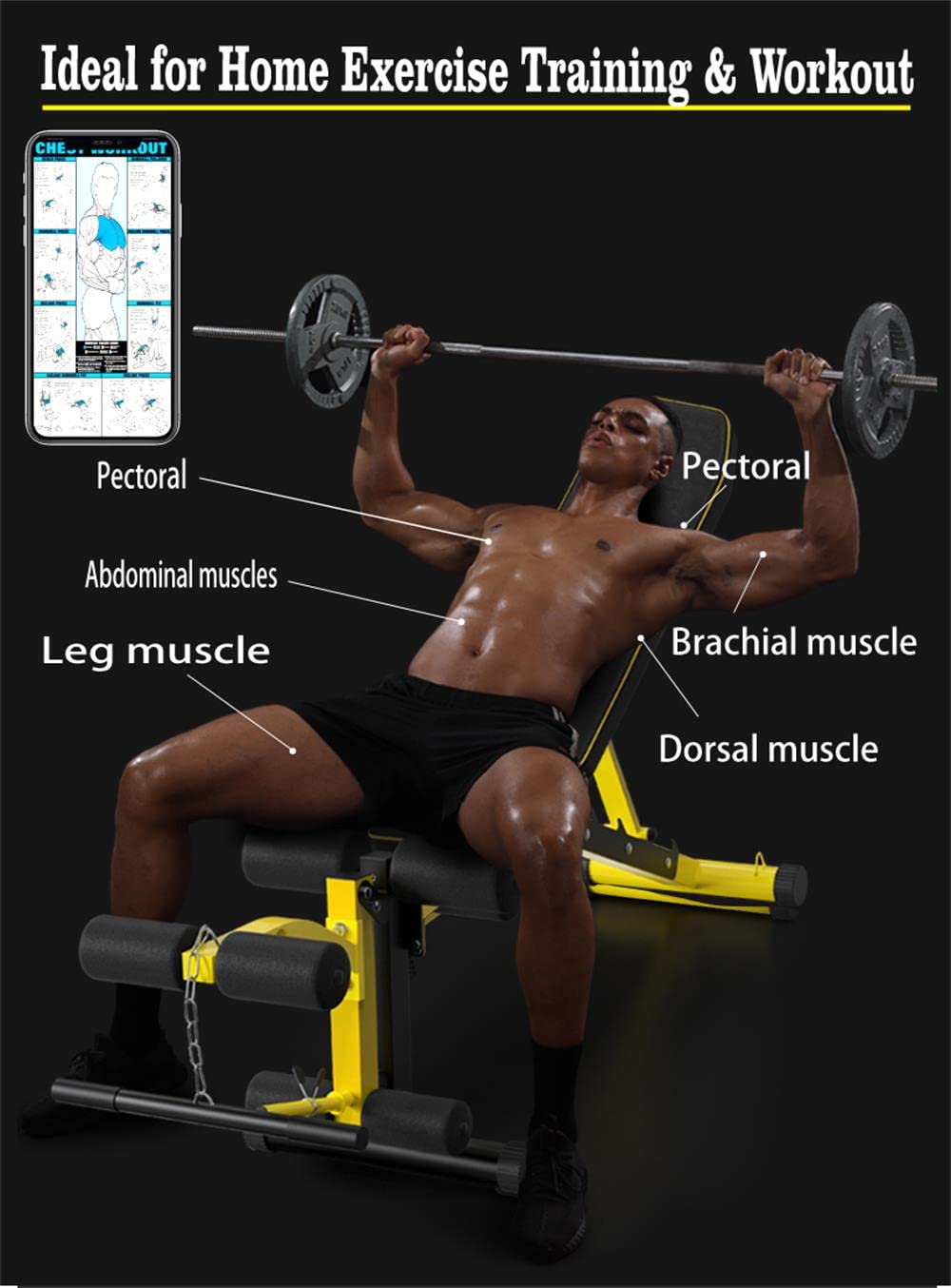 EASY BIG Adjustable Weight Bench with Leg Extension - Multi-Position Strength Training Bench for Dumbbell Exercises, Ab Workouts & Home Gym - Perfect for Full-Body Workouts & Small Spaces