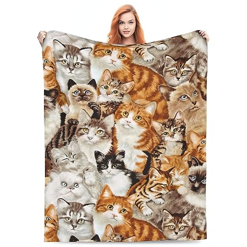 Cute Cat