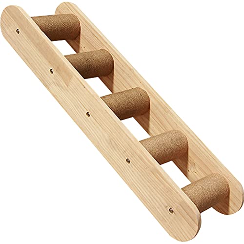 Climbing Ladder