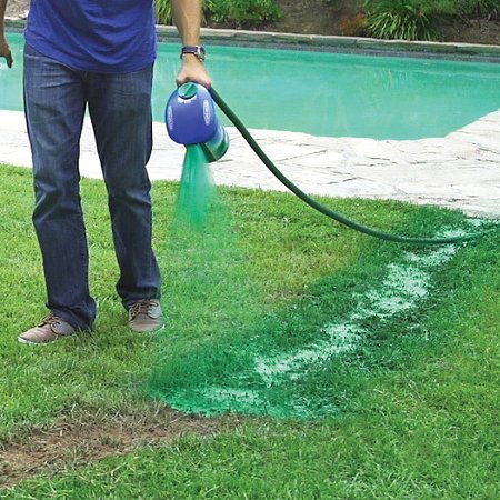 Hydro Mousse Bermuda Grass Seed - Large Refill Bag (1000 Sq Ft Coverage) - Fast-Growing Drought-Resistant Lawn Seed for Backyards, Golf Courses & Sports Fields