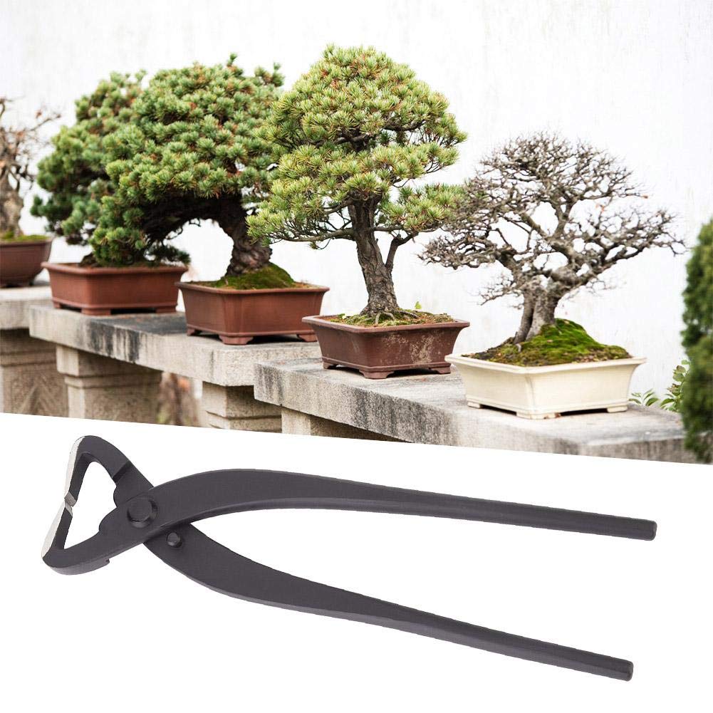 Professional Bonsai Trunk Splitter & Pruning Shears - High Carbon Steel Garden Scissors for Bonsai Modeling, Tree Trimming & Plant Care | Perfect for Bonsai Enthusiasts, Gardeners & DIY Landscaping Projects