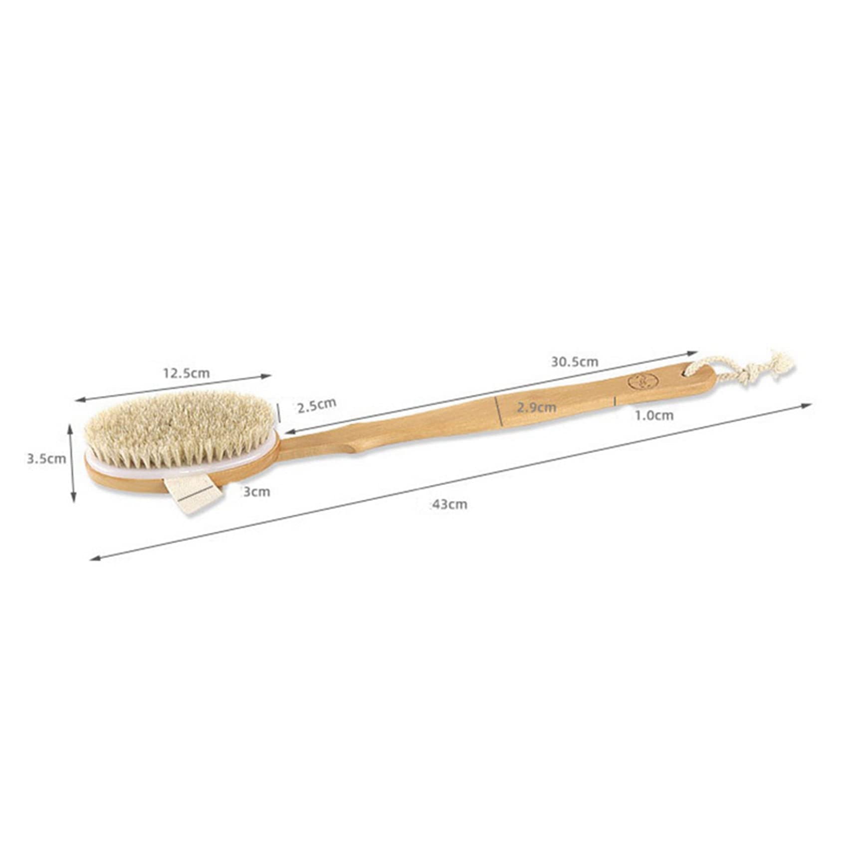 XIDIT 2X Bath & Body Brush - Long Handle Back Scrubber with Exfoliating Bristles - Shower Massager Brush for Deep Cleansing & Skin Renewal - Perfect for Spa, Home Shower & Self-Care Routine