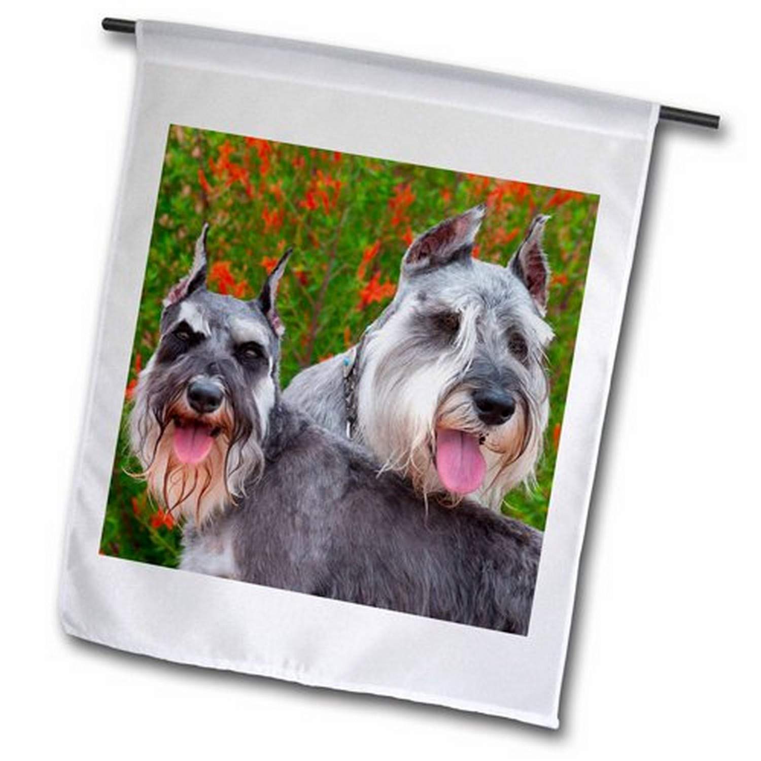 3dRose Two Schnauzers in The Garden - Mr and Pr Garden Flag 12x18 Inch - Perfect for Outdoor Decor, Yard, Patio, and Front Porch