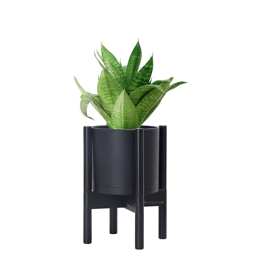 Matte Black Pot + Ebony Stand