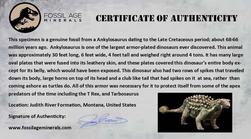 Authentic 0.4