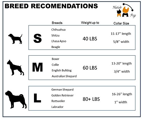 Deaf Dog Collar - Vibrating Safety Collar for Hearing Impaired Dogs (Small) | Perfect for Training, Walks & Outdoor Adventures