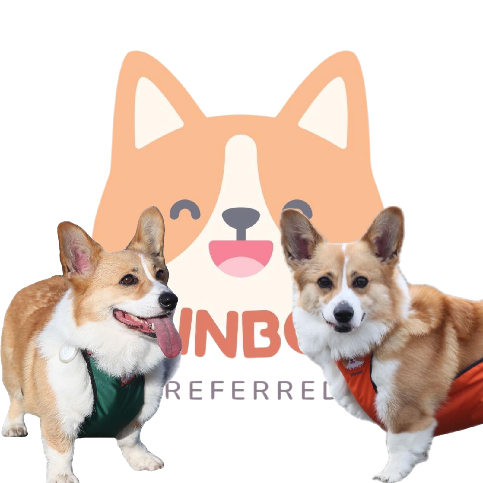 RainbowPreferred Waterproof Dog Belly Protector - Dog Recovery Suit, Belly Cover & Vest for Post-Surgery, Spay/Neuter Protection - Washable & Easy to Clean Pet Costume for Indoor & Outdoor Use