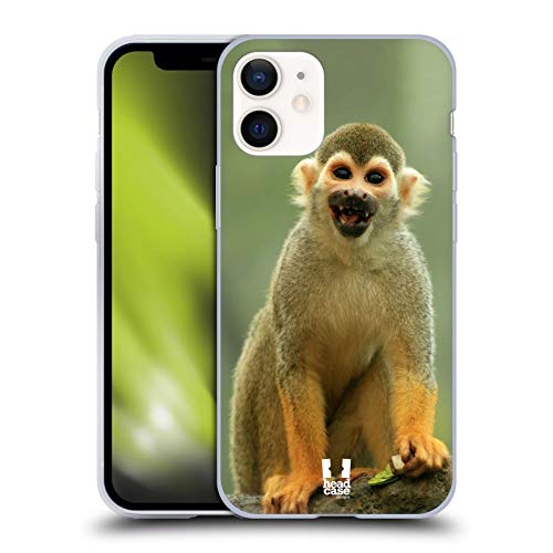 Common Squirrel Monkey