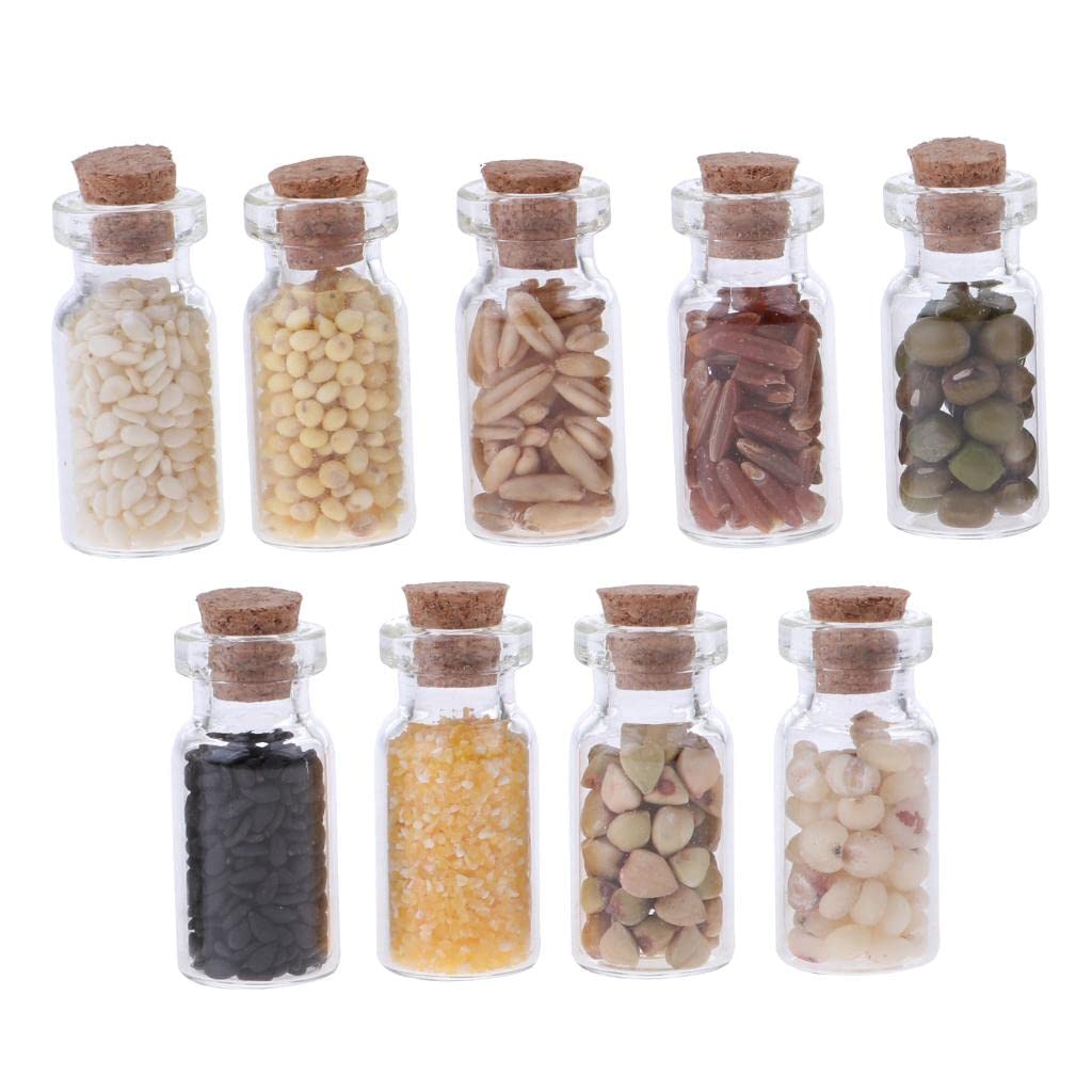 Shamjina 9-Piece Miniature Dried Food Set for Dollhouse Kitchen | Realistic Mini Kitchen Accessories for Dolls & Model Displays | Perfect for Dollhouse Decor, Kids Pretend Play & Collectors