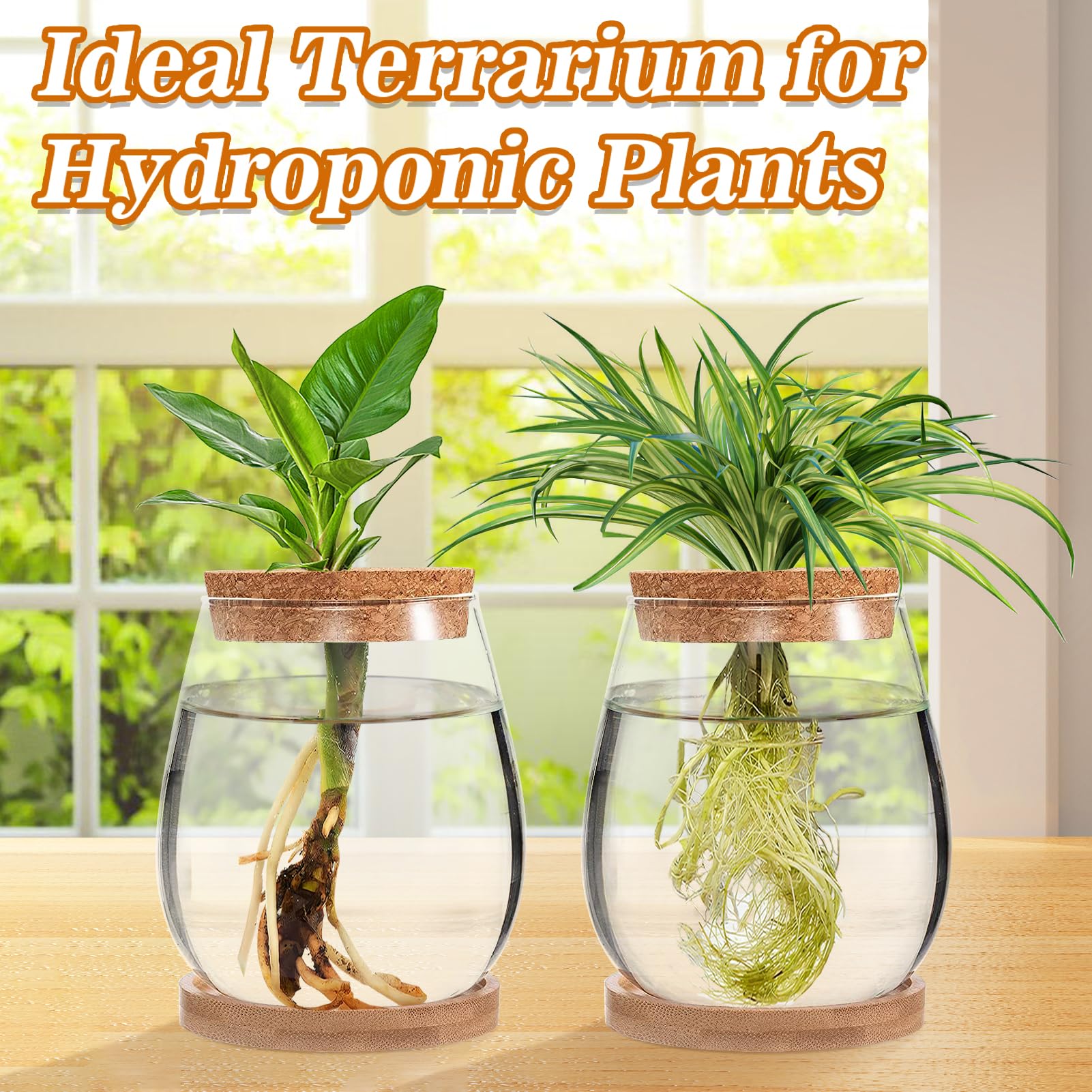 2-Pack Glass Hydroponic Propagation Station - Water Drop Shaped Plant Terrarium with Separated Tray, Indoor Gardening Gifts for Women & Plant Lovers - Perfect for Windowsill Decor, Herb Growing, and Home Office Plant Propagation