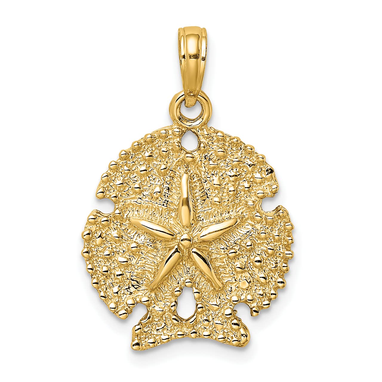 14k Yellow Gold Textured Sand Dollar Charm Pendant - Lex & Lu Dainty Beach Jewelry for Necklace Layering, Gift Giving & Coastal Fashion Accessories
