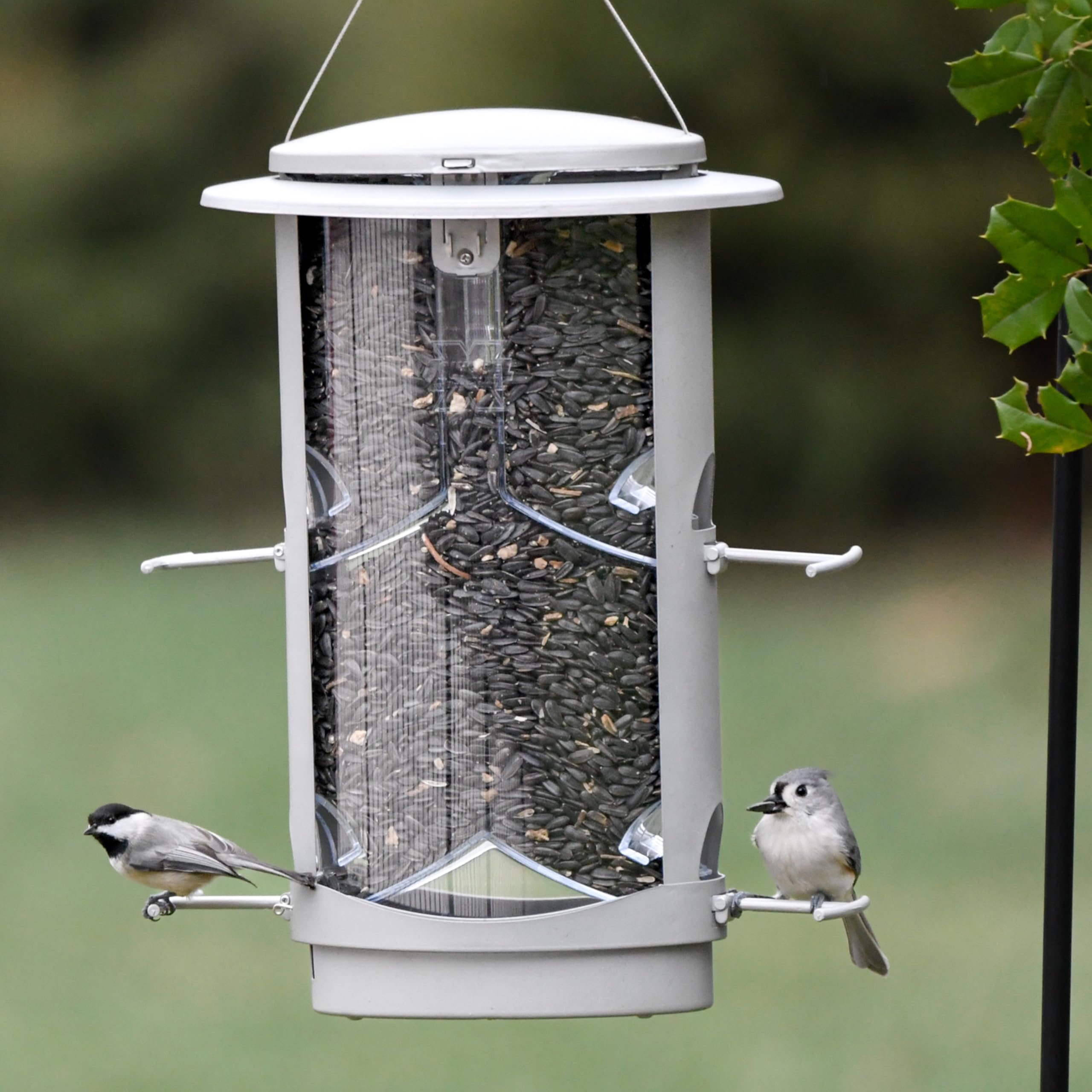More Birds X-1 Squirrel-Proof Bird Feeder - 4.2LB Capacity, 4 Feeding Ports - Attract Wild Birds to Your Garden or Backyard