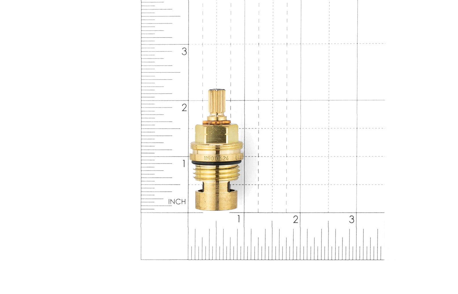20-Point Stem Hot 1/2