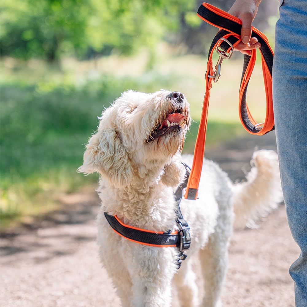 Preno Mesh Training Leash for Dogs - 200 cm (6.5 ft) Long, 20-25 mm Wide, Durable Gray Reflective Leash - Perfect for Walking, Running, and Obedience Training with Pets