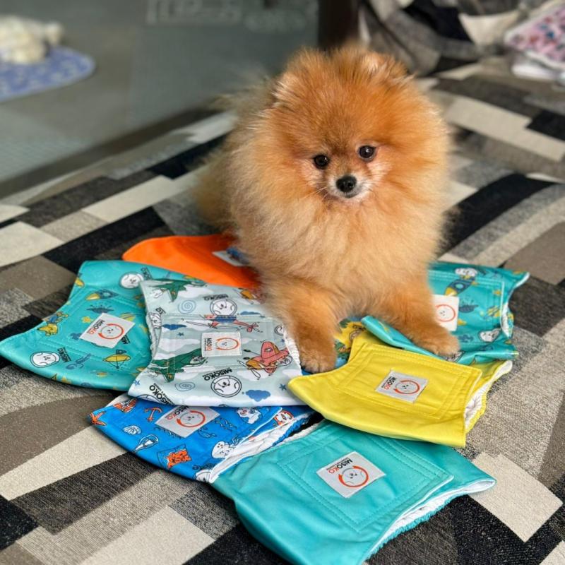 Misoko Washable Reusable Dog Diapers for Female Dogs - 3 Pack, Meadow Green - Soft & Absorbent Pet Diapers for Incontinence, Heat Cycles, and Training - Perfect for Small to Medium Dogs at Home or Travel