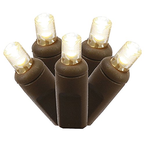 Warm White Led
