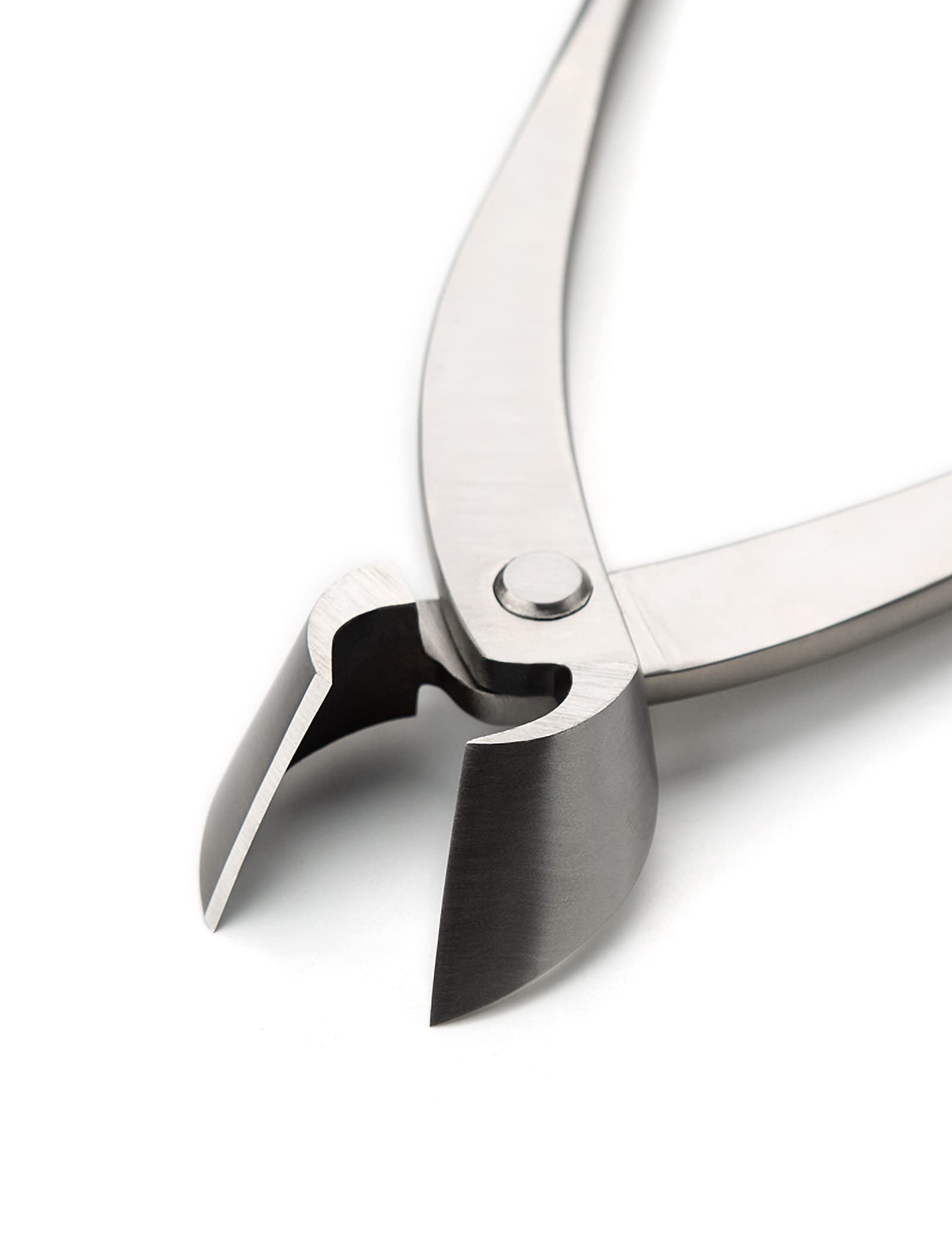 Professional Grade Bonsai Straight Edge Cutter - Alloy Steel Branch Trimmer with Tool Bag (MT-SE-280) | Perfect for Pruning, Shaping & Maintaining Bonsai Trees, Gardens & Indoor Plants