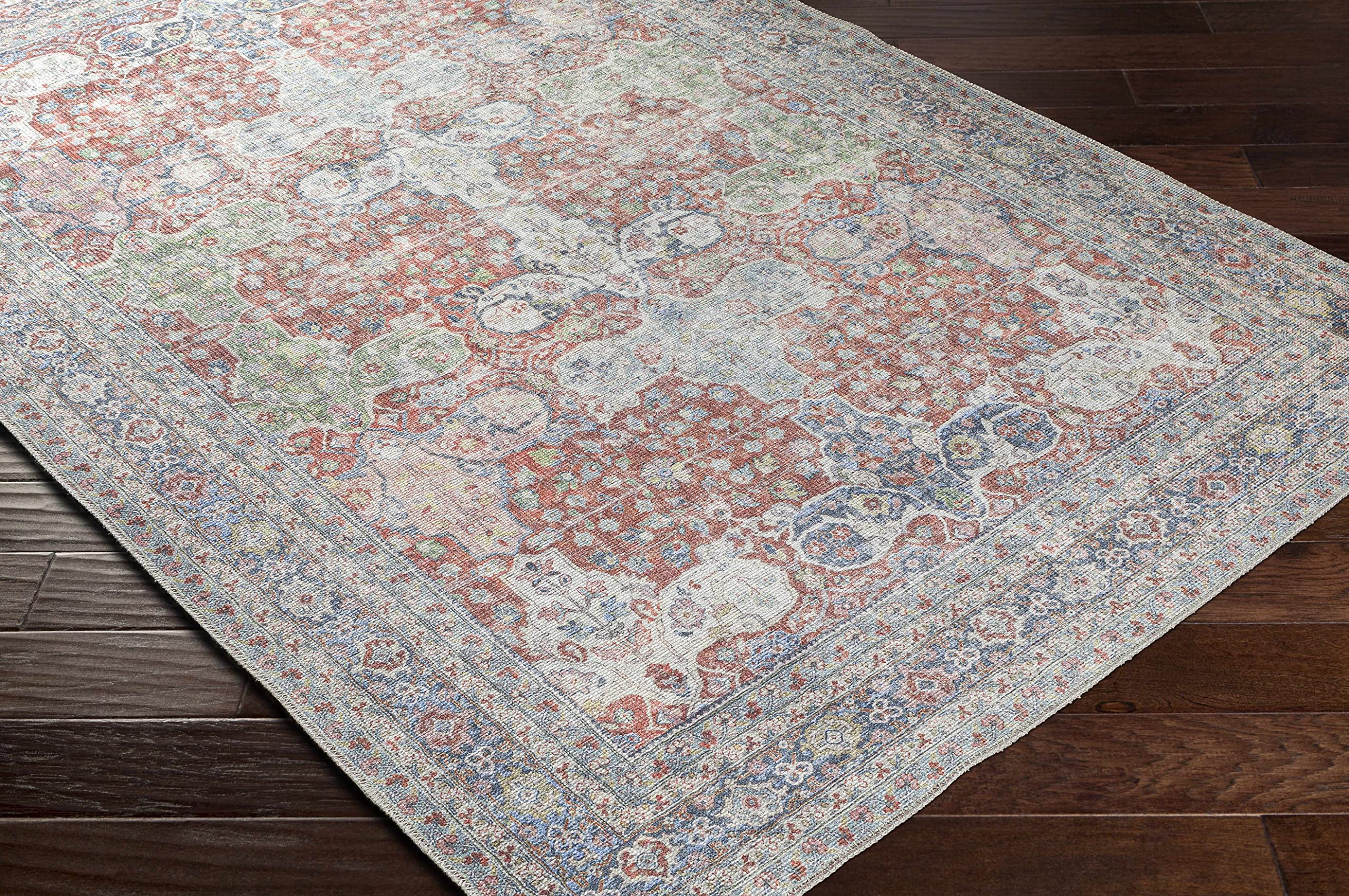 Hauteloom Goma Washable Area Rug for Living Room & Bedroom - Traditional Design in Pink, Beige, Red - 8'10