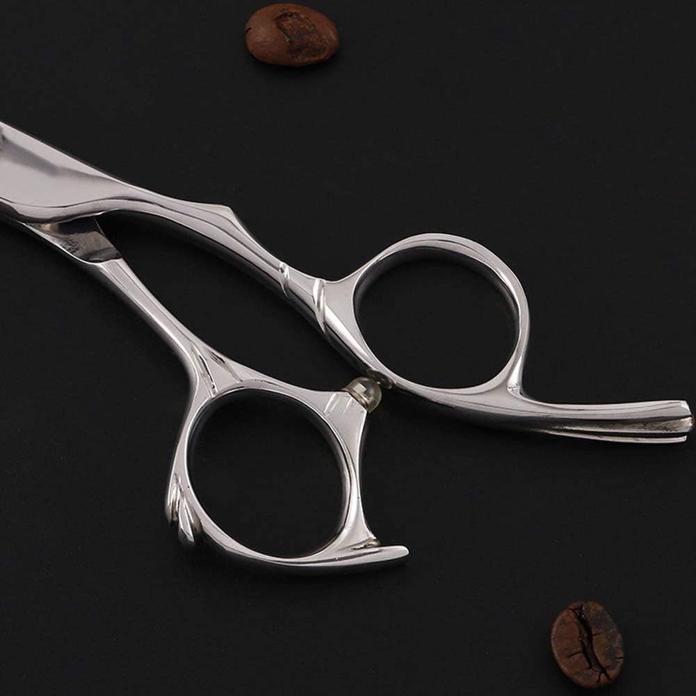 Professional Hairdressing Scissors 5.5 Inch - Salon Grade Barber Shears for Precision Hair Cutting - Silver Stainless Steel Flat Cut Teeth Scissors - Perfect for Salon Stylists & Home Haircuts