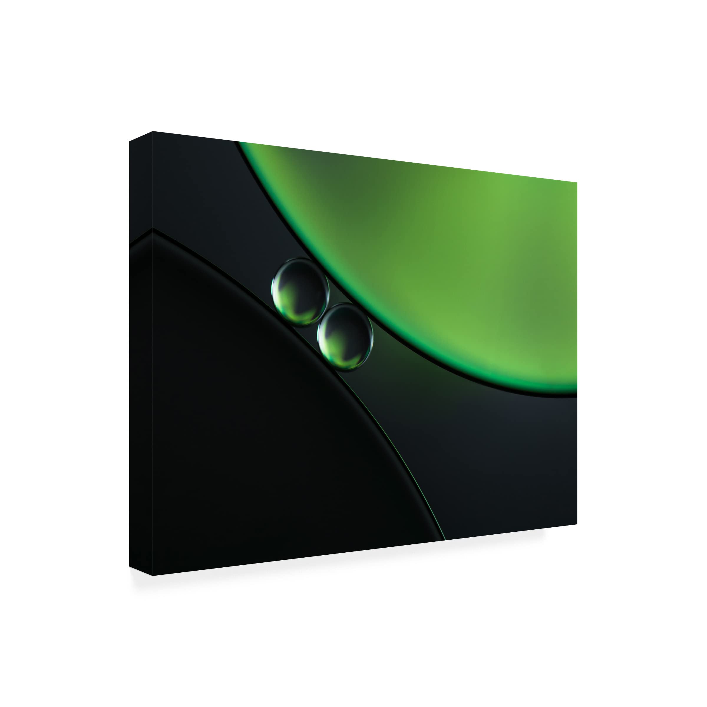 Trademark Fine Art 'Batwing Bubbles' Canvas Wall Art by Jacqueline Hammer - Modern Abstract Painting for Living Room, Bedroom & Office Decor