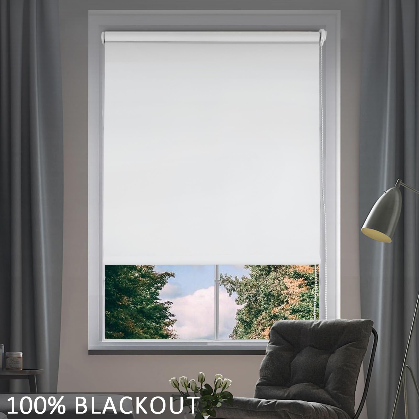 NUTRO CHILL Blackout Roller Window Shades - Thermal Insulated UV Protection Roll Down Blinds for Home & Office - 29