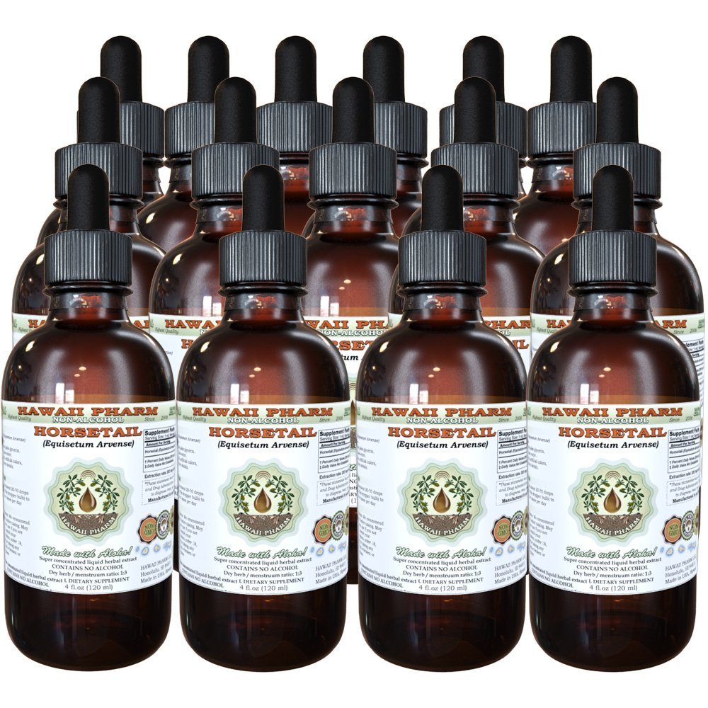 Organic Horsetail (Equisetum arvense) Alcohol-Free Liquid Extract - 4 oz Bottle (Pack of 4) | Herbal Glycerite Supplement for Hair Growth, Skin Health & Joint Support | Perfect for Natural Remedies & Holistic Wellness