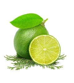 Fruits & Passion Cucina Lime Zest & Cypress Tree Hand Care Gift Set - Moisturizing Liquid Hand Soap (5.1 oz) & Nourishing Hand Cream (6.8 oz) | Perfect for Kitchen, Bathroom & Office Use | Natural Ingredients for Soft, Hydrated Hands