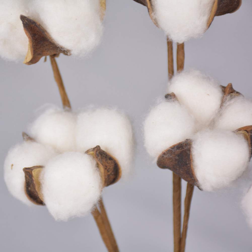 Natural White Cotton Boll Stems - Rustic Farmhouse Vase Filler, Wedding Centerpiece Decor, Floral Arrangement Supplies for Home, Wedding & Event Decorations