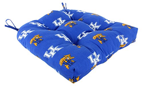 Kentucky Wildcats
