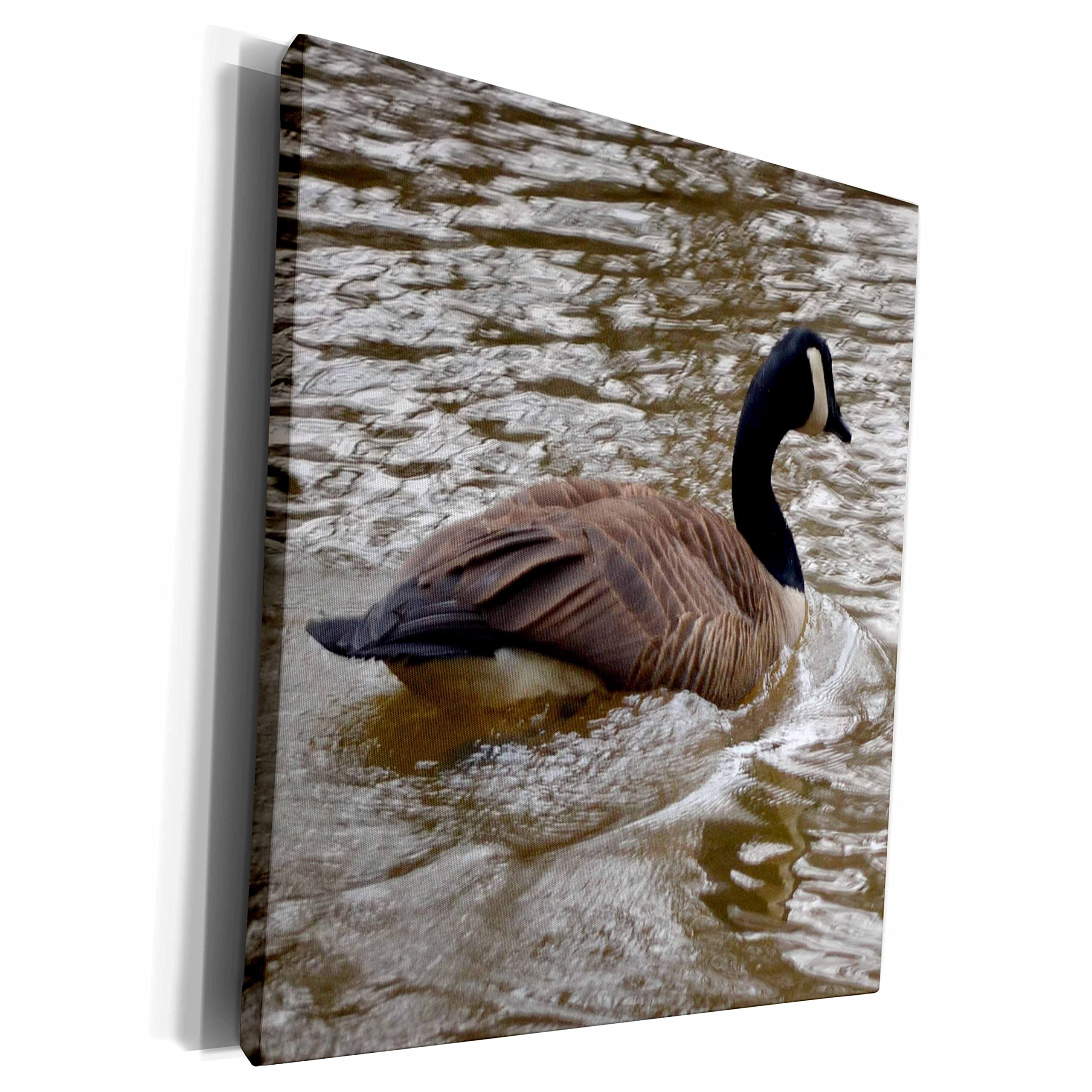 Premium Museum-Grade Canvas Wrap - Stunning Goose in Water White Oak Photography Animal Art Print | Perfect for Home Decor, Living Room, Office & Gifts
