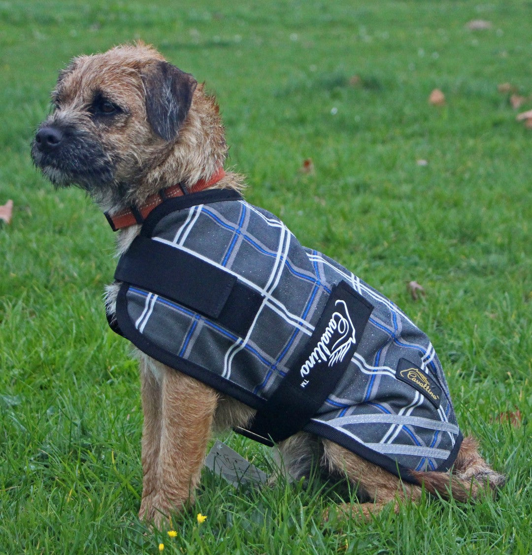 Cavallino Dog Coat for Badminton - Waterproof & Breathable Pet Jacket for Outdoor Sports, Hiking, and Winter Protection