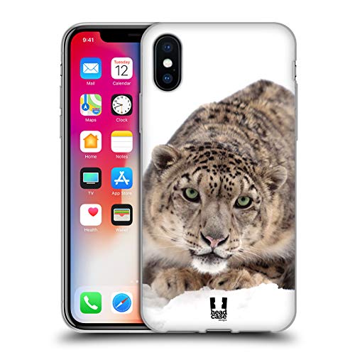 Snow Leopard On Ice