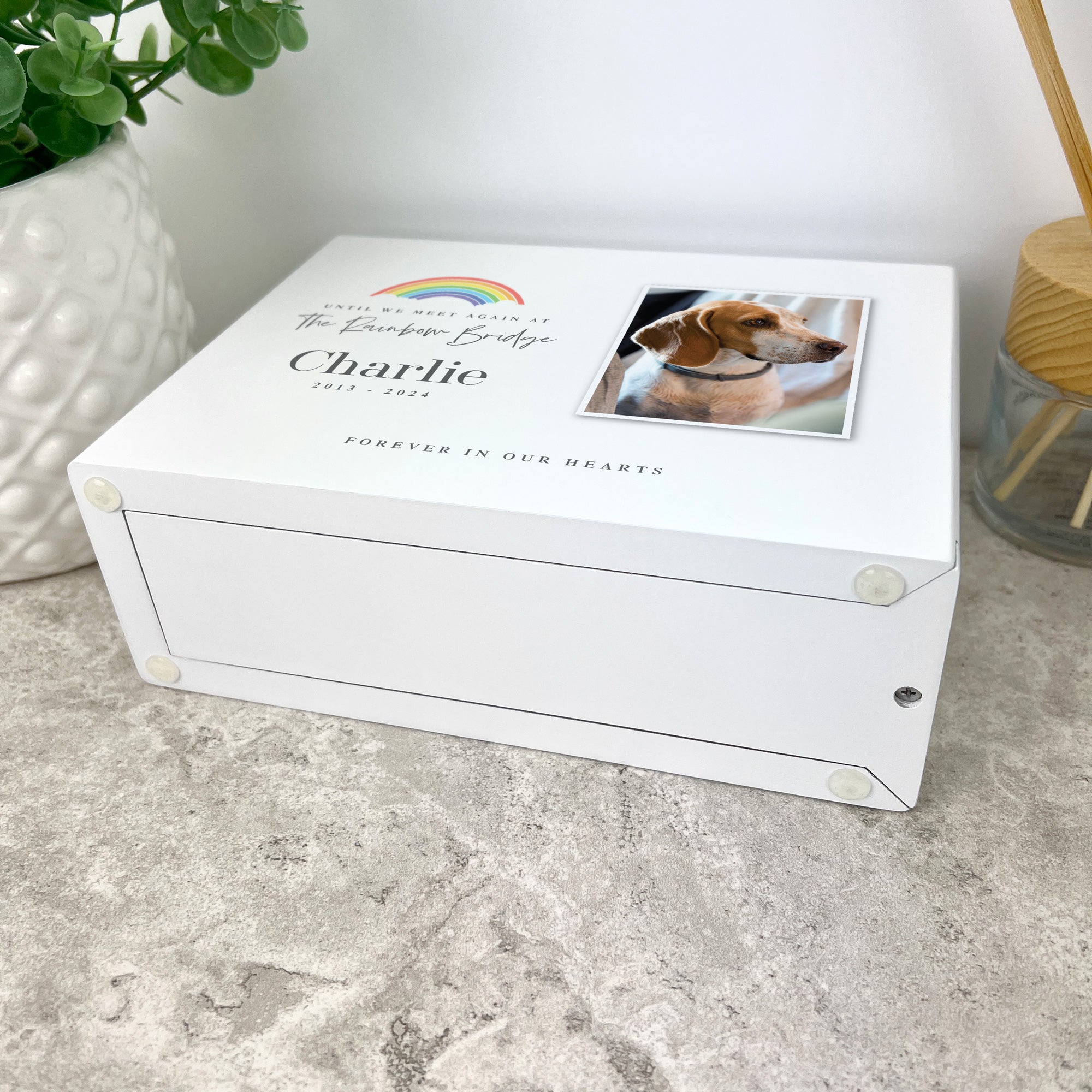 Personalized Rainbow Bridge Pet Memorial Urn for Ashes - 1.09 Litre Capacity | Engraved Photo Keepsake for Beloved Dogs, Cats & Pets | Perfect for Home Memorials, Pet Funerals & Healing After Loss