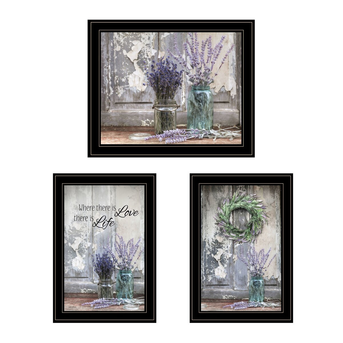 Lori Deiter 3-Piece Framed Wall Art Set - Ready to Hang Black Frame Vignette Prints | Perfect for Living Room, Bedroom & Office Decor