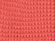Sunset Coral