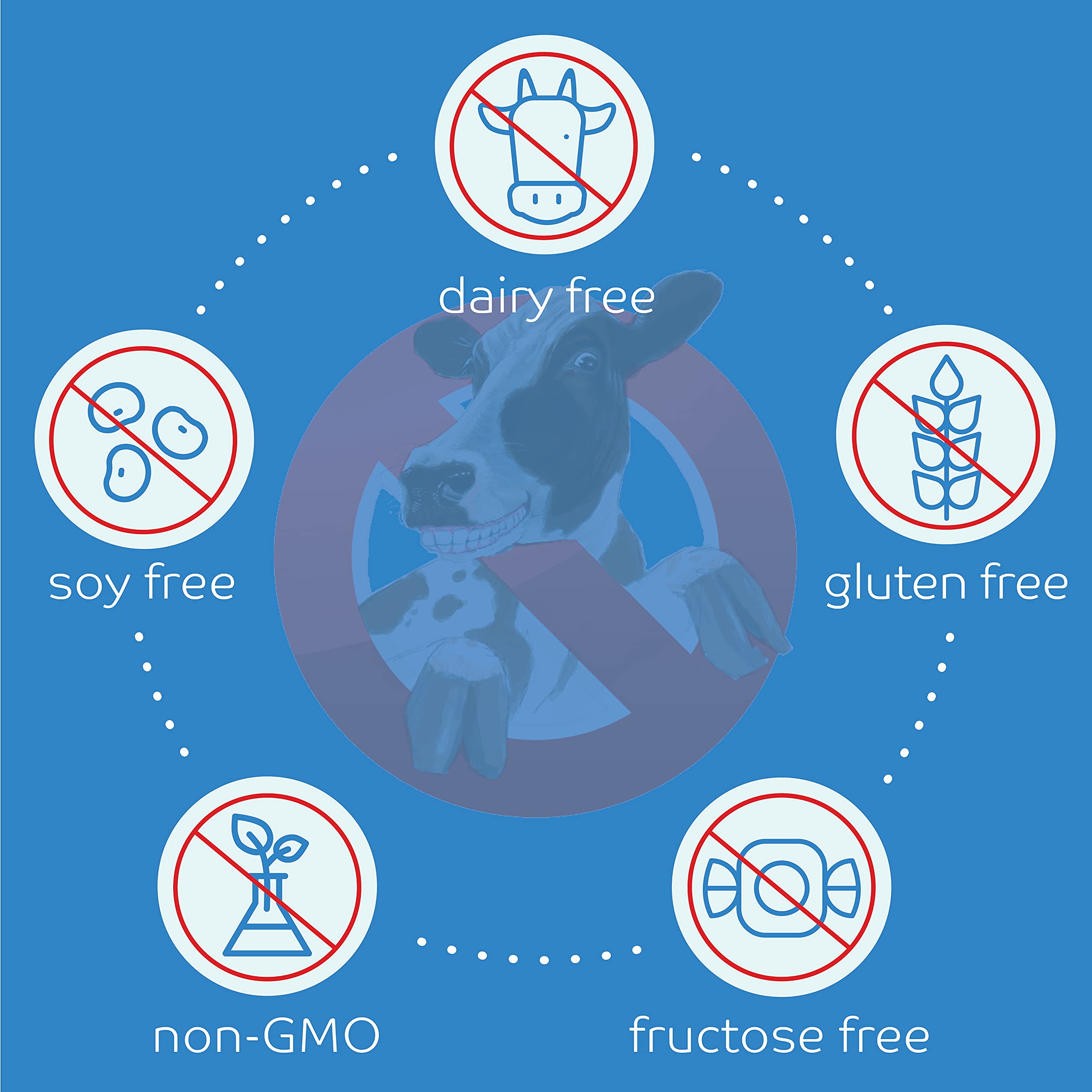 Vegan Protein Powder - Dairy Free, Soy Free, No Udder Protein - Vanilla Delight Flavor | Plant-Based Protein Supplement for Smoothies, Baking & Post-Workout Recovery