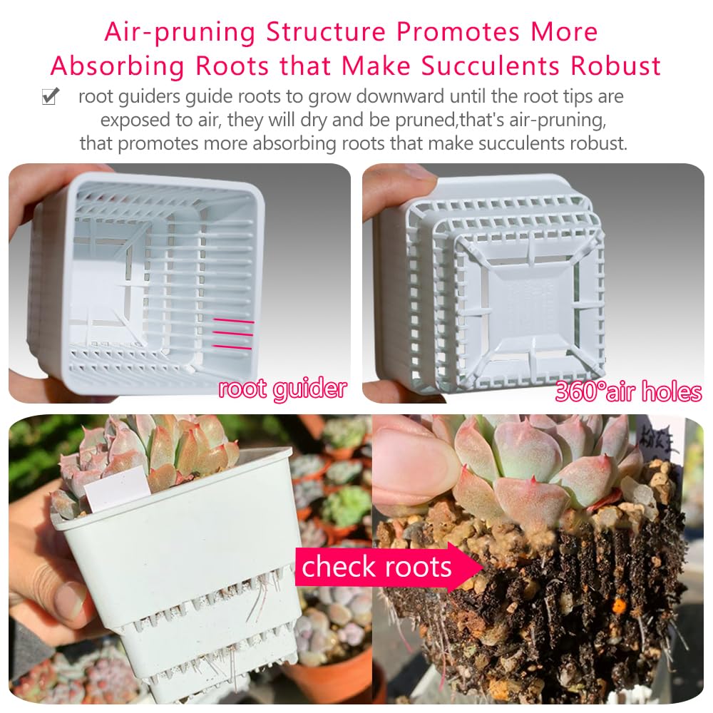 12Pcs 2.8 Inch Succulent Pots with Drainage Holes & 14x9.4 Inch Tray - Plastic Square Planters for Cactus, Seedlings, Herbs - Perfect for Indoor Gardening, Windowsill Decor, Office Desk Plants