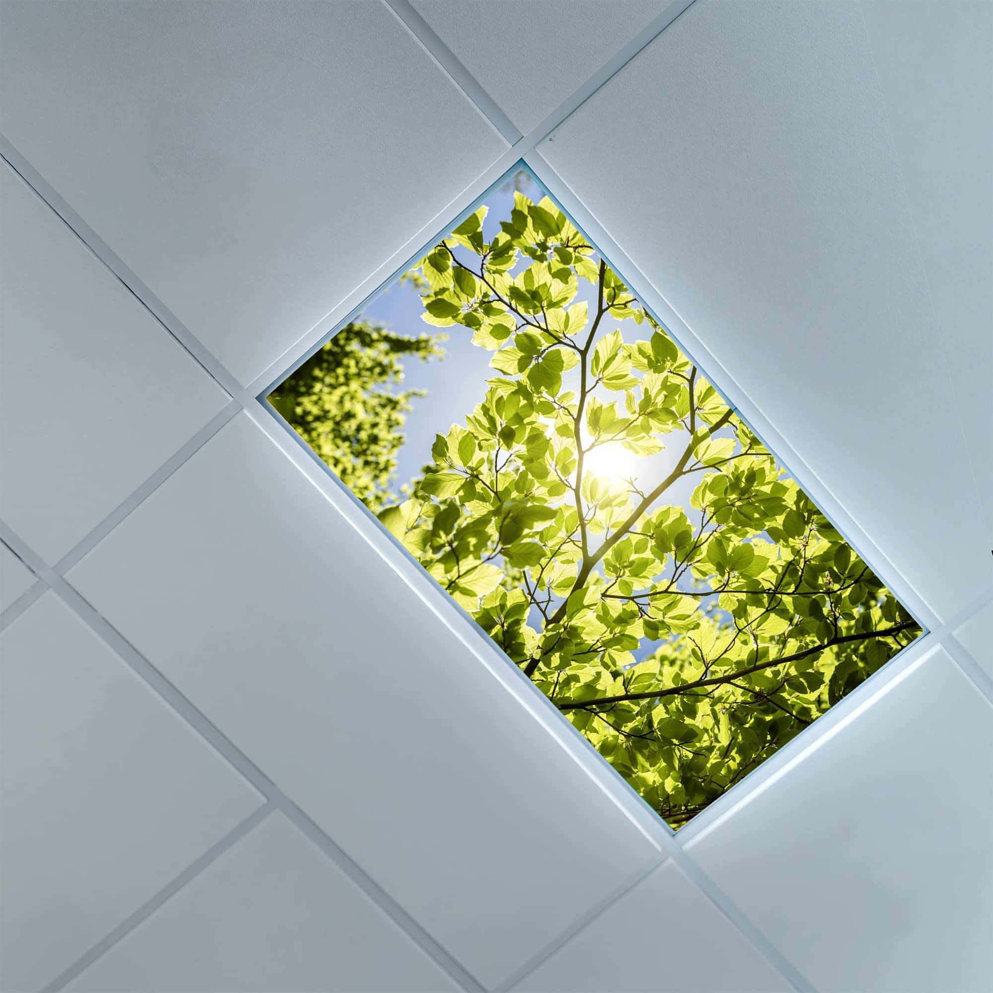 Decorative Fluorescent Light Cover with Leaves Pattern - 2ft x 4ft Green Ceiling Light Filter for Classroom, Office, Hospital & Home | Enhance Ambiance & Reduce Glare