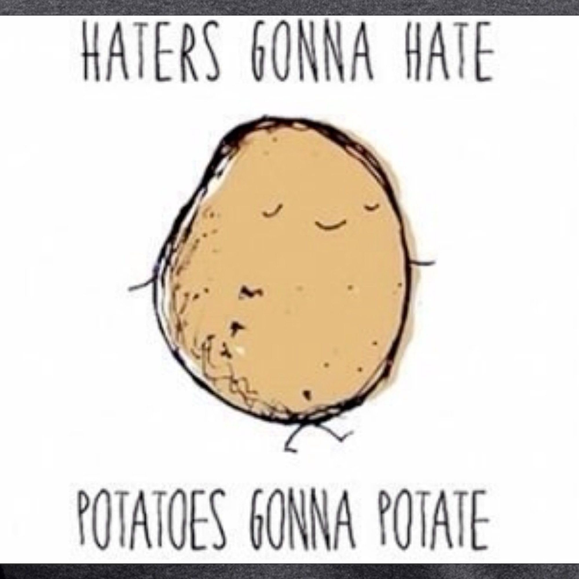 CafePress Haters Gonna Hate, Potatoes Gonna Potate Women's Novelty Pajama Set - Soft Charcoal Sleepwear for Women, Funny Matching Pajamas for Sleepovers, Girls Night In, and Relaxing at Home