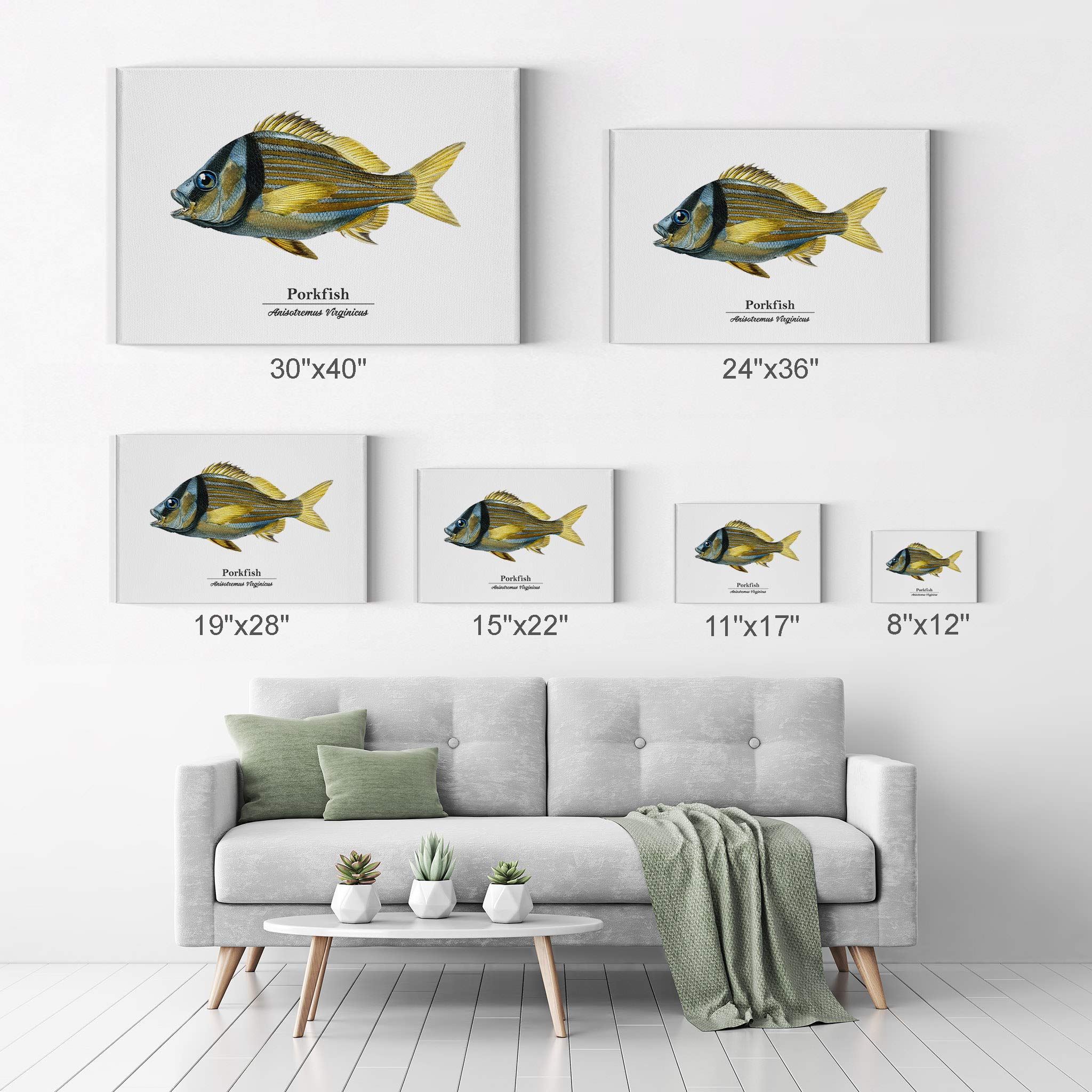 Smile Art Design Porkfish Anisotremus Virginicus Marine Life Canvas Painting - 30x40 Inch Underwater Wall Art for Coastal Bedroom, Kids Room & Nautical Home Decor | Perfect for Beach House, Fishing Enthusiasts & Ocean Theme Interiors