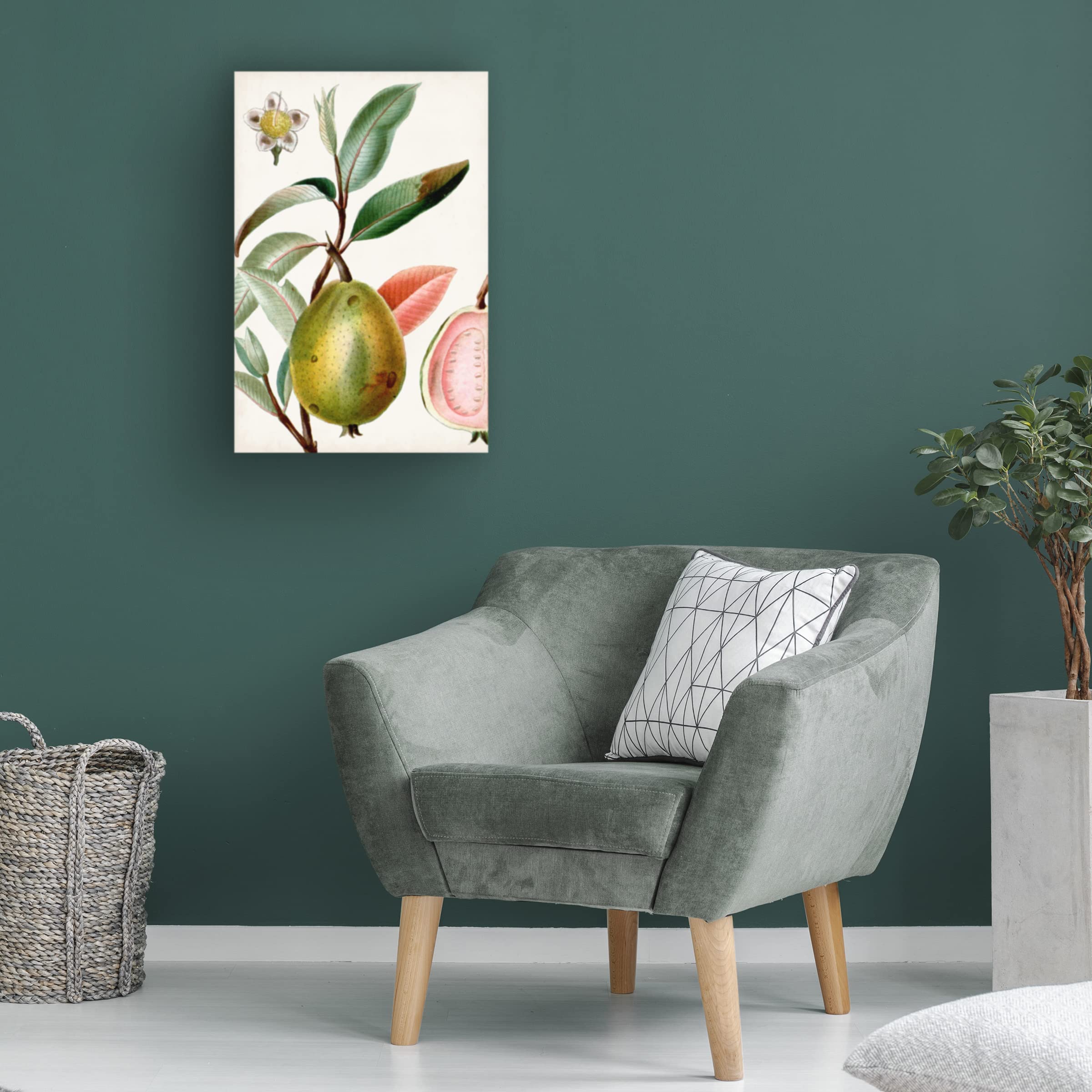 Trademark Fine Art 'Turpin Tropical Fruit IX' Canvas Wall Art Print - Vibrant Tropical Fruit Painting for Home & Office Decor, Kitchen, Dining Room